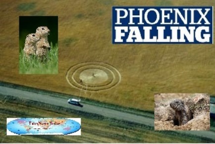 Phoenix Falling-FNT-125%