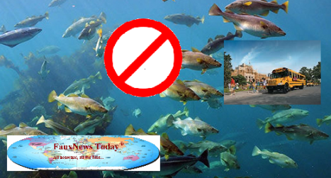 Codfish School-FNT-small