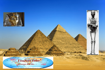 King Tut Montage-FNT-Small.png