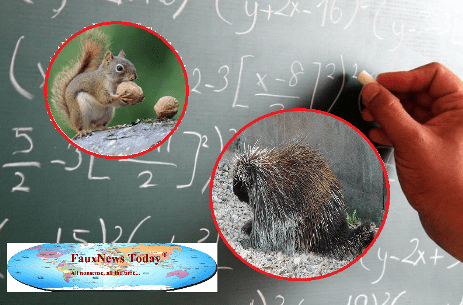 Mathematics-FNT-Small