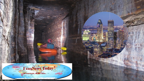 Montreal-Ice-Cave-FNT-Small.png